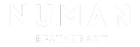 Numan logo